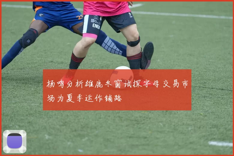 杨鸣分析雄鹿冬窗试探字母交易市场为夏季运作铺路