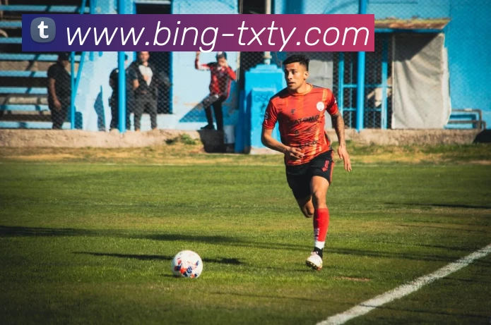 天行体育平台生态图